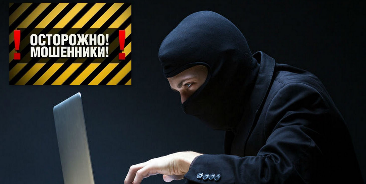 фото взято из открытых источников
