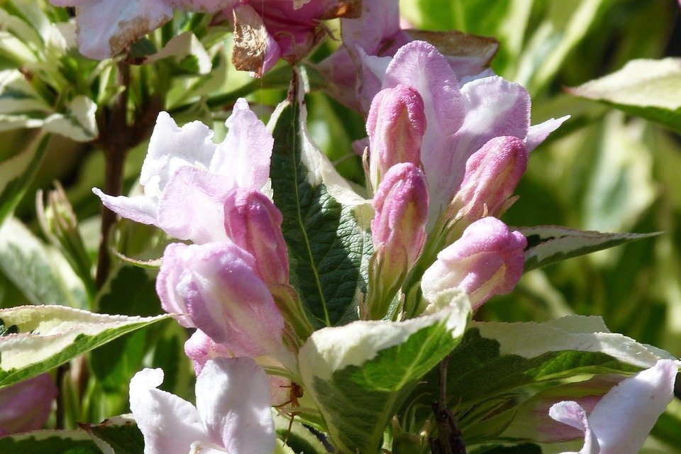 ФОТО из открытых источников