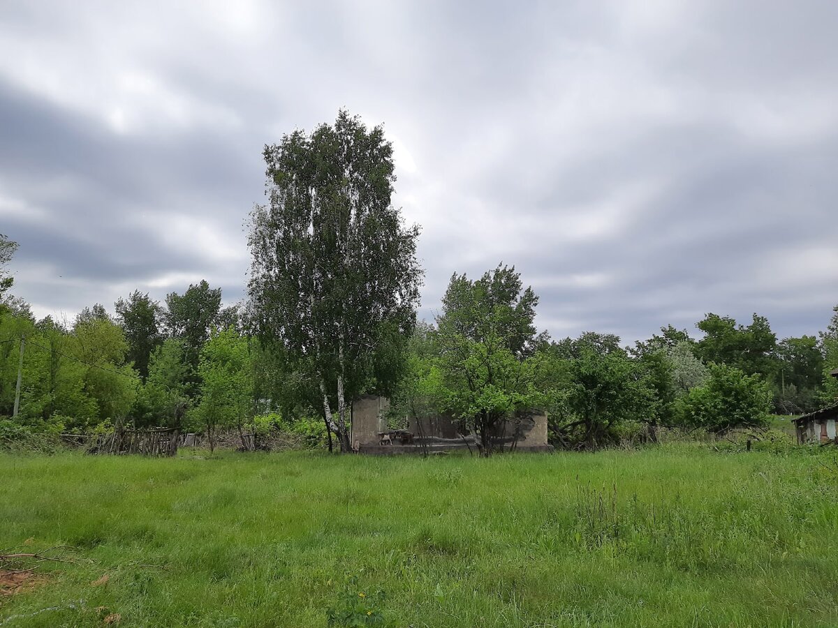 Личное фото.