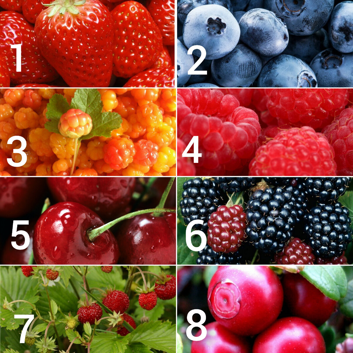 ЯНДЕКС - ФОТО