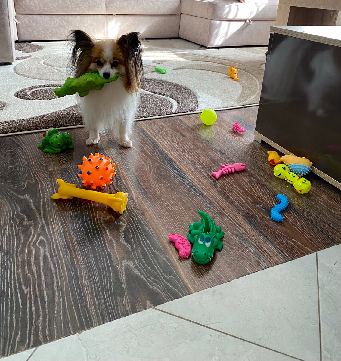 Вот столько игрушек у нас валяется на полу