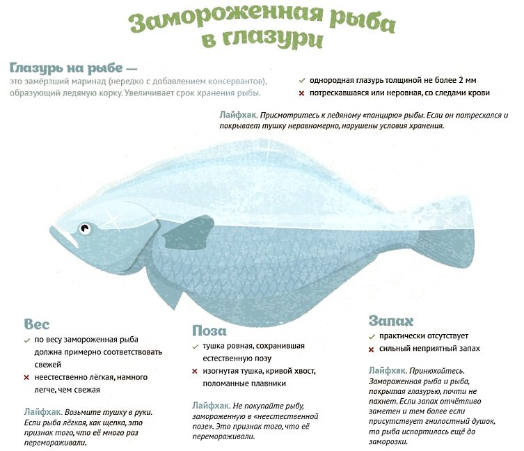 Почему при заморозке. Схема разморозки рыбы. Как выбрать замороженную рыбу. Признаки свежей рыбы. Как правильно выбирать рыбу.