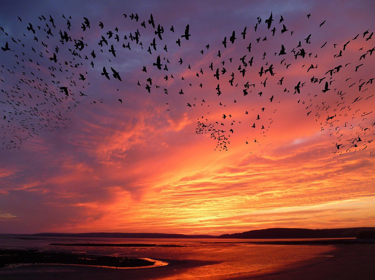Фото: Pete Linforth/Pixabay
