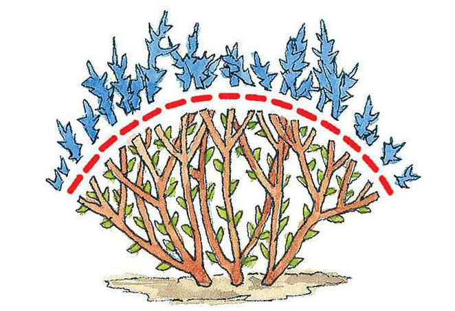 картинка с сайта fb.ru