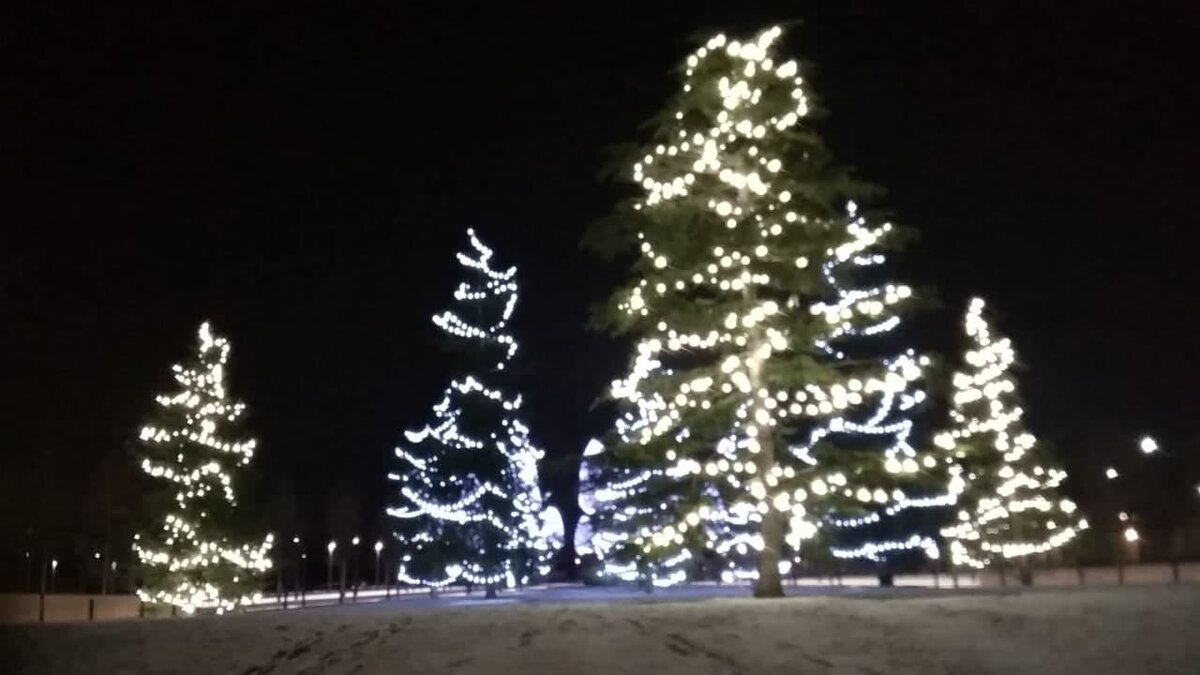 Фото автора.