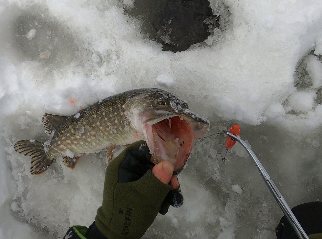 мормышка 4240nk. щука на балансир в глухозимье. балансиры в глухозимье. балансиры в глухозимье. зимние балансиры на окуня.