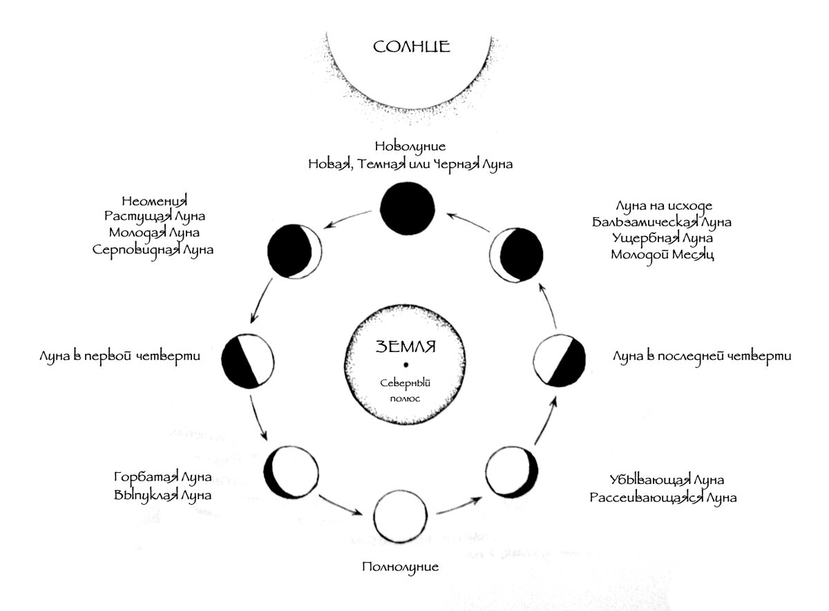 Как происходит смена лунных фаз рисунок
