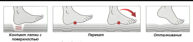 Источник https://mbtshoes.ru/showarticle/14/  