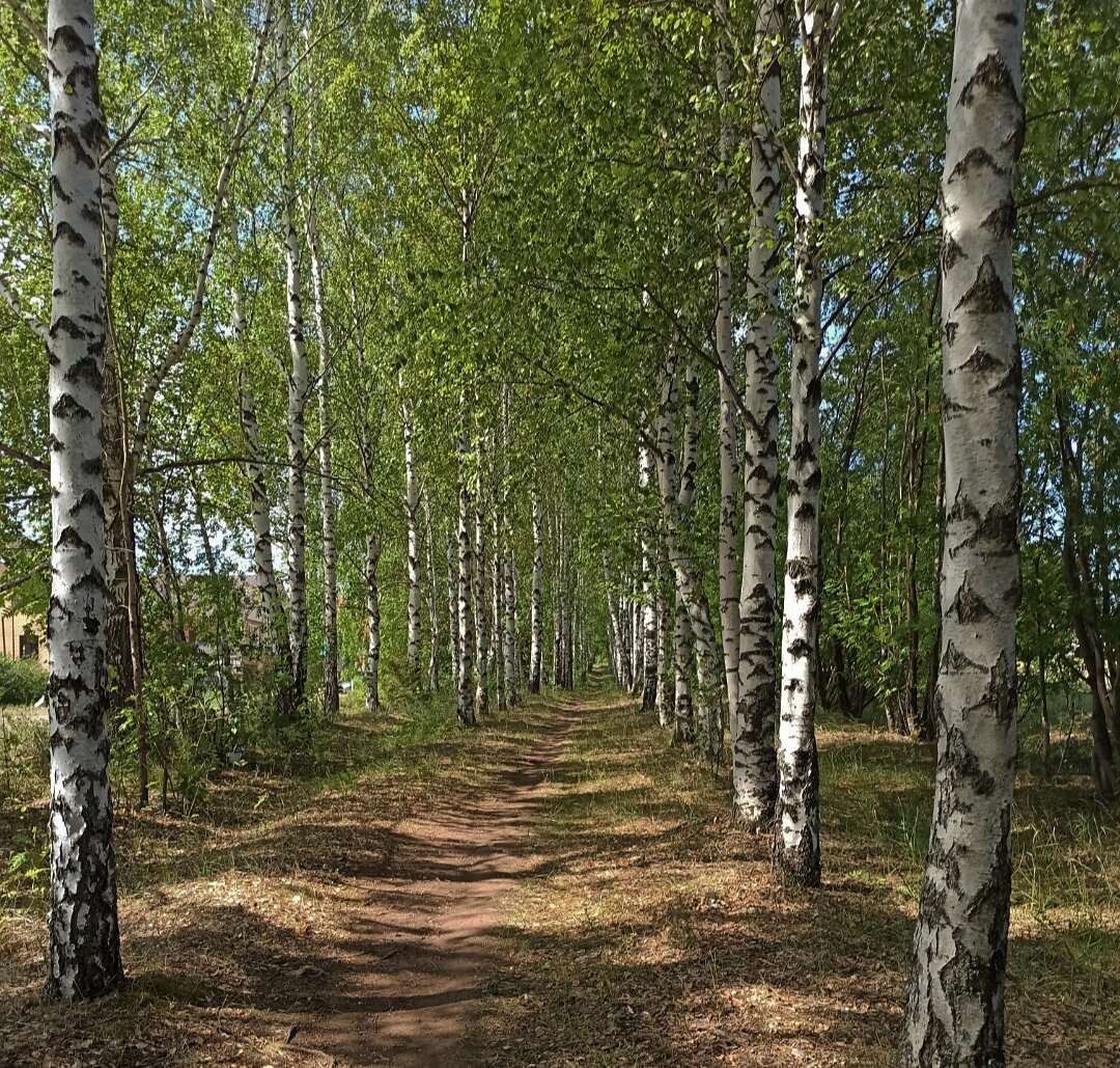 Пейзажная съёмка