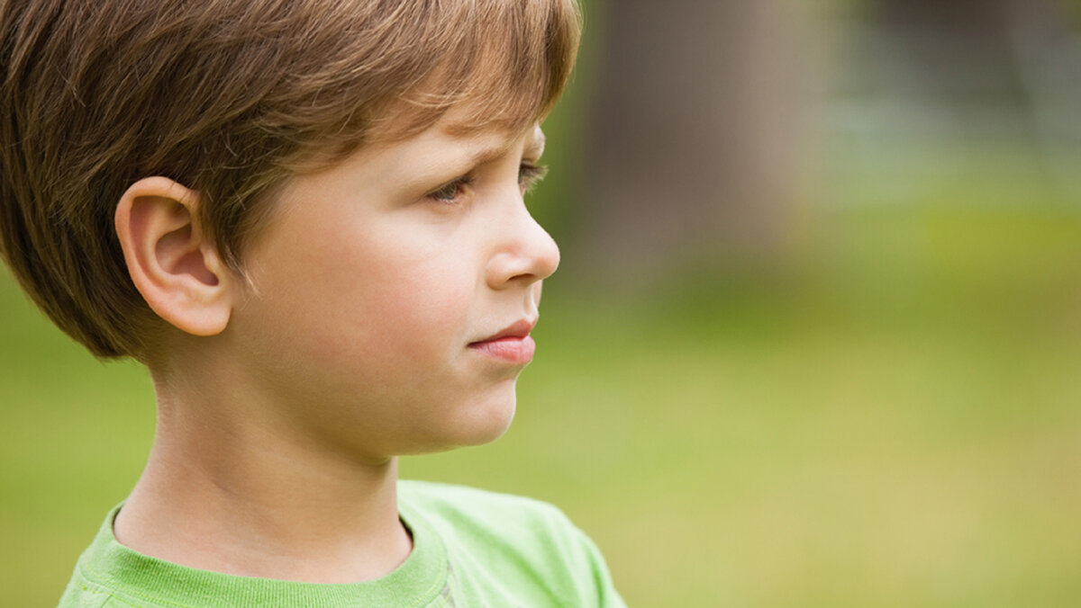 Фото из свободного доступа сети Интернет