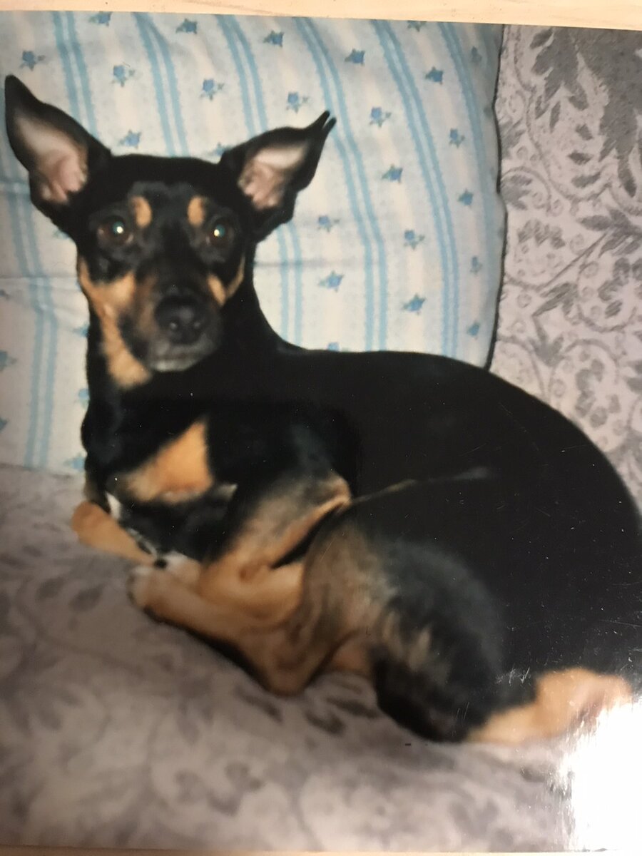 Фото из семейного архива