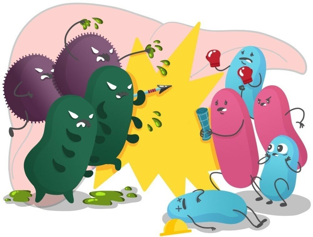 Из открытых источников