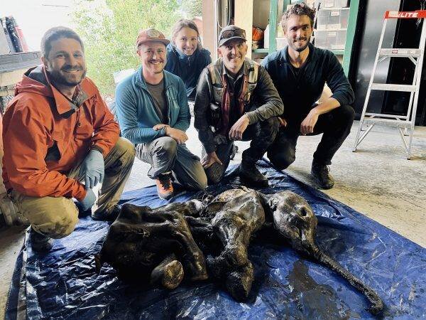 Подсчитано, что тело замерзло во время ледникового периода более 30 000 лет назад.