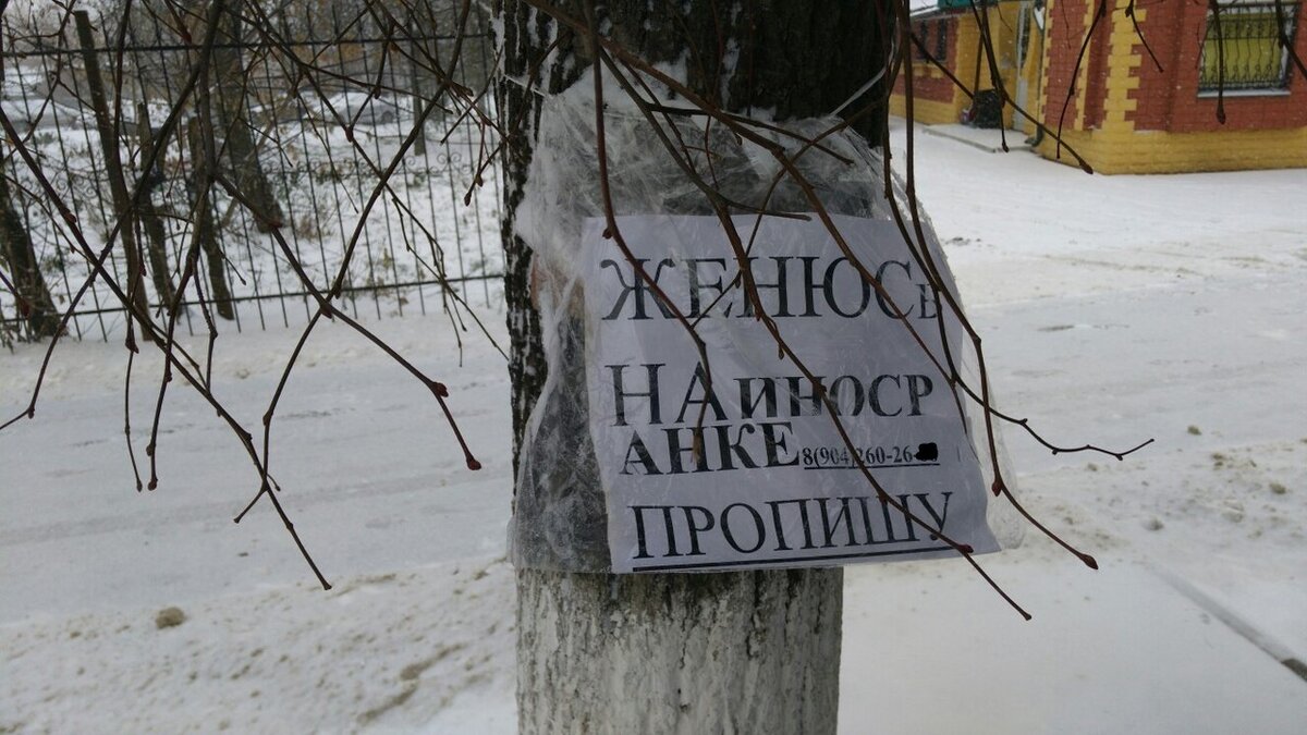 Можно по русски ходить. Париться в сауне. Глаголы движения рки. Можно по русски ходить. Глаголы движения.