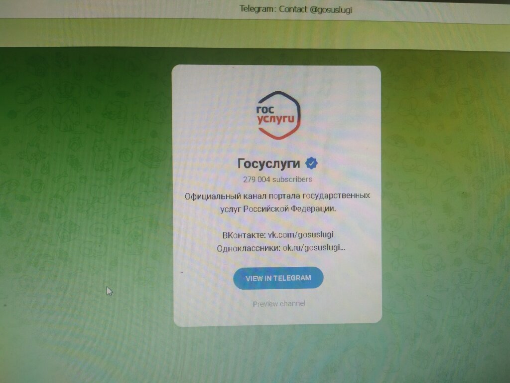 Госуслуги» создали телеграм-канал, где размещают ответы на самые актуальные  вопросы | Вся ТВЕРЬ | Дзен