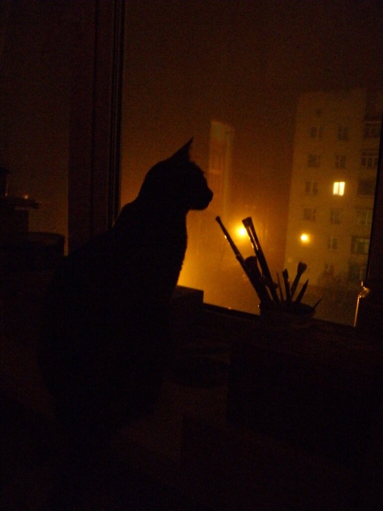 Фото из открытых источников