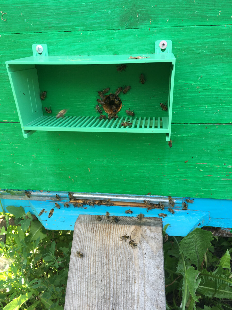 Как всегда, фото автора