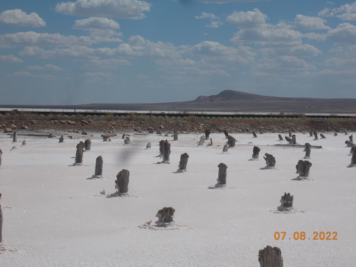 На заднем плане гора Богдо