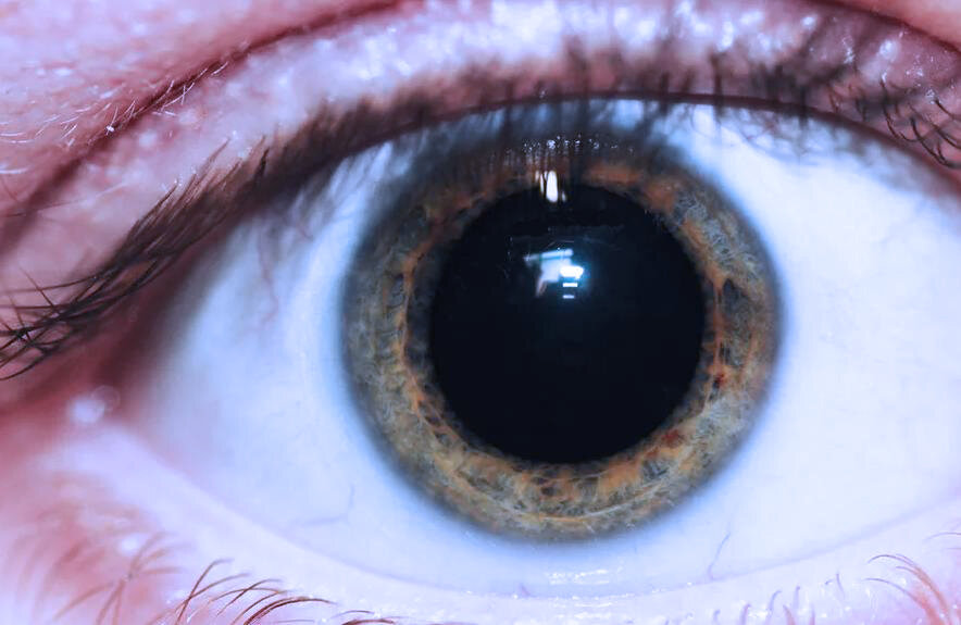 Яндекс картинки