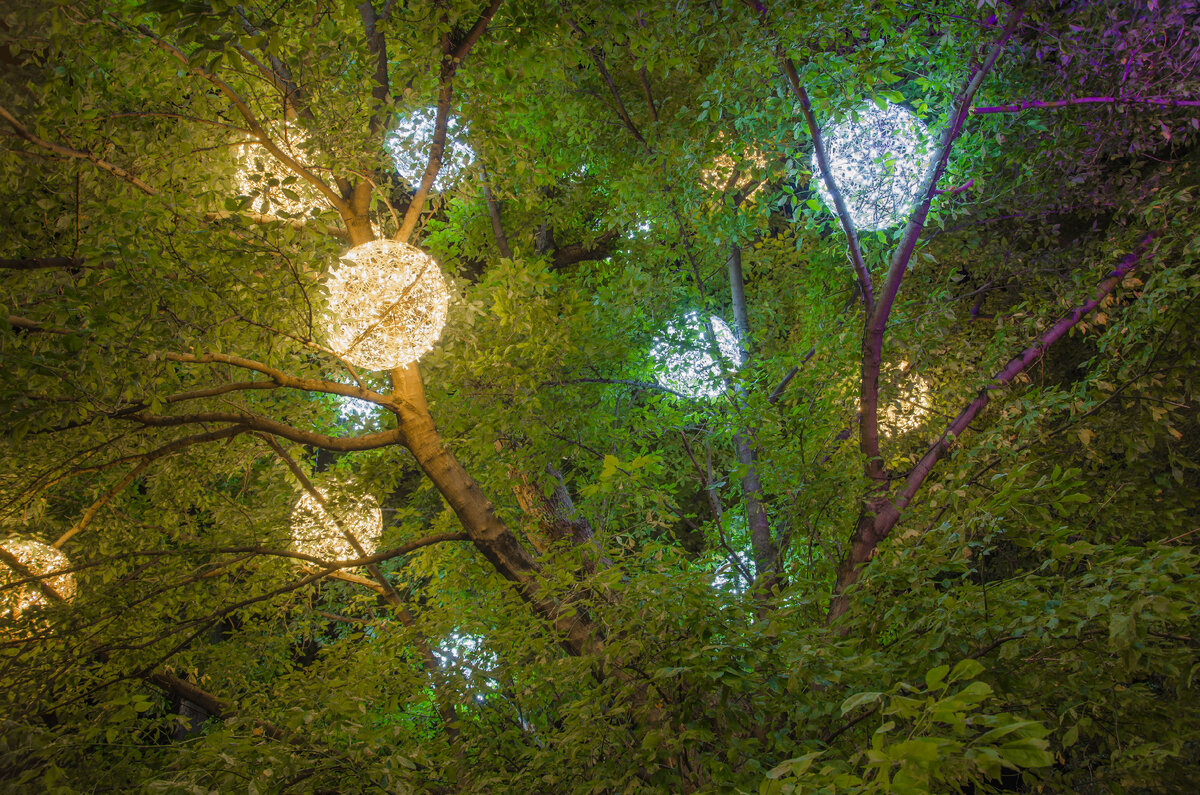 Парк Новороссийска.