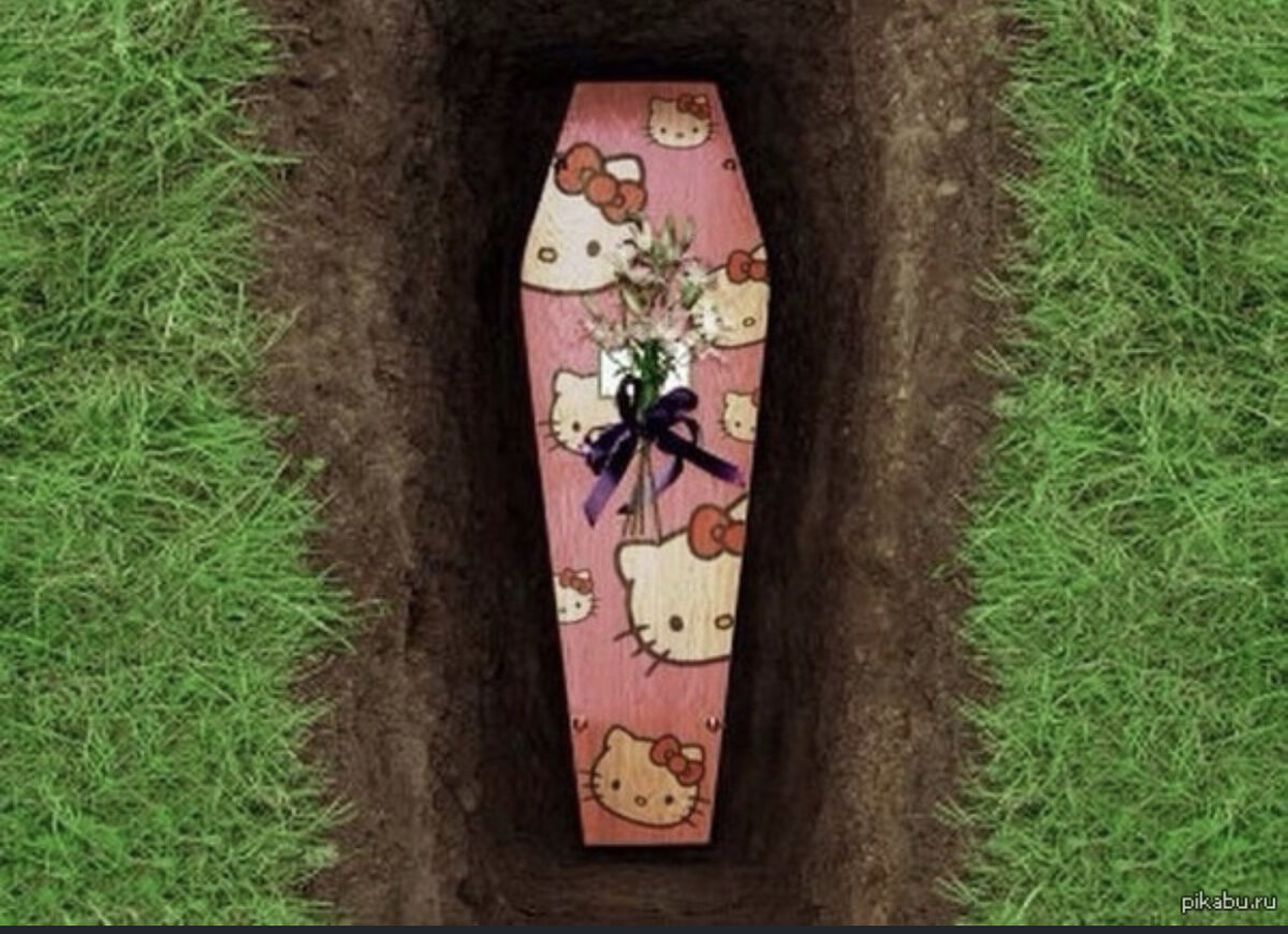 Фото из интернета 