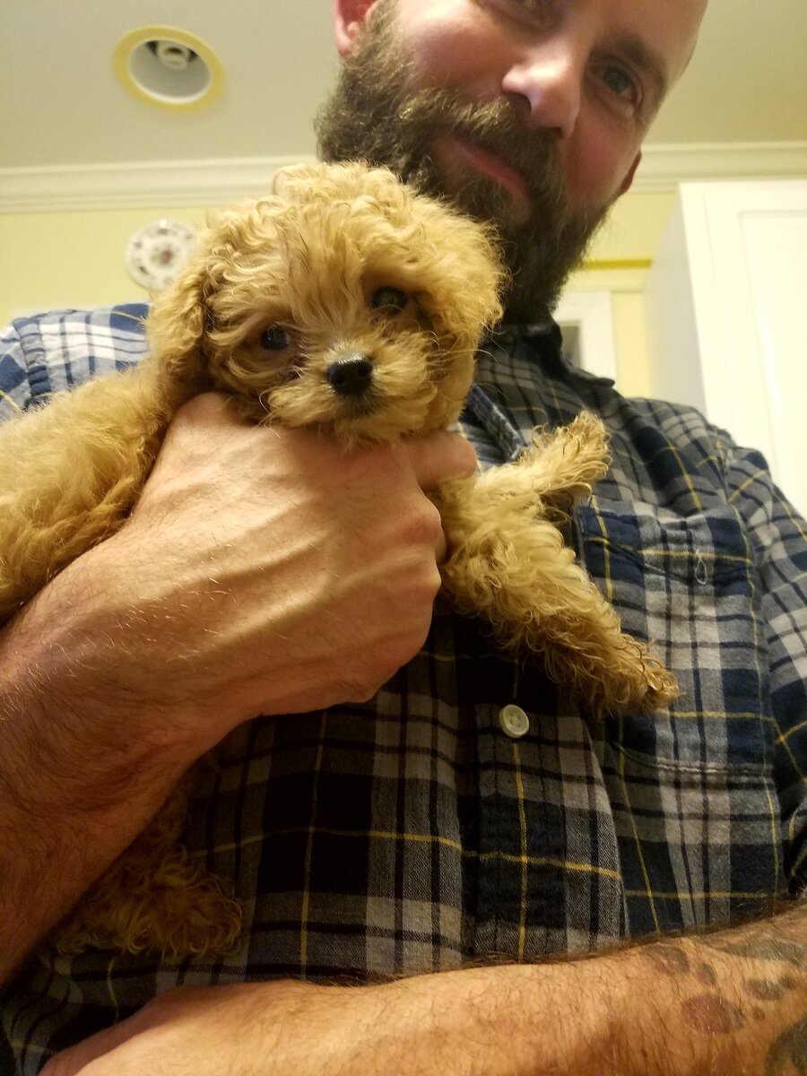 Мой муж с одной из наших собак, Пайпер. 