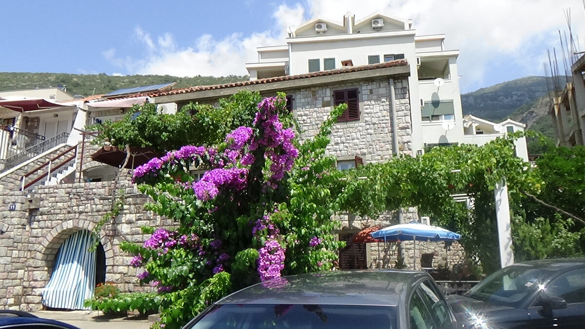 Вид на черногорскую "дачу", в которой мы жили