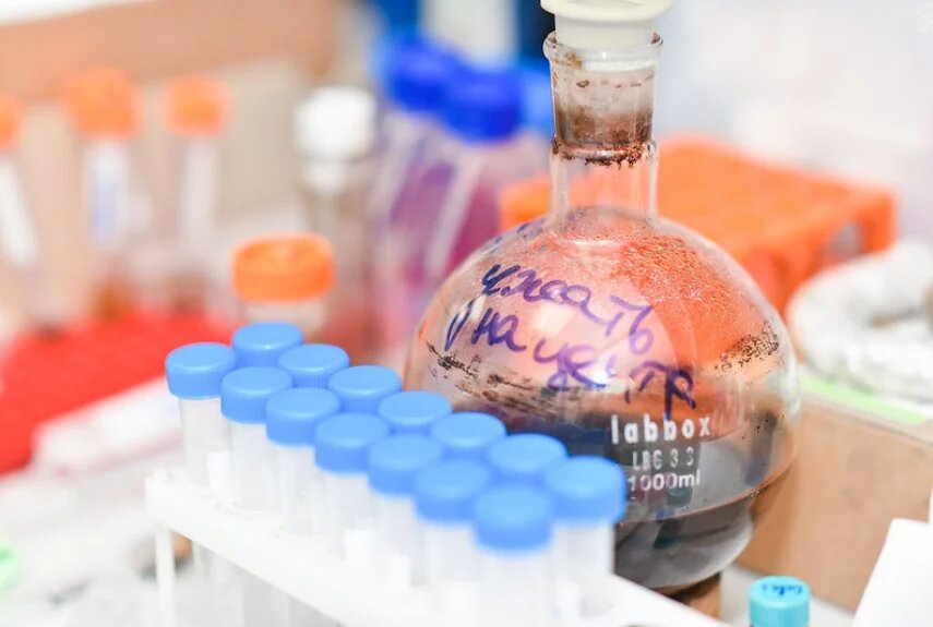 Фото: пресс-служба НИТУ «МИСиС»