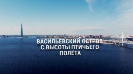 Васильевский остров с высоты птичьего полёта