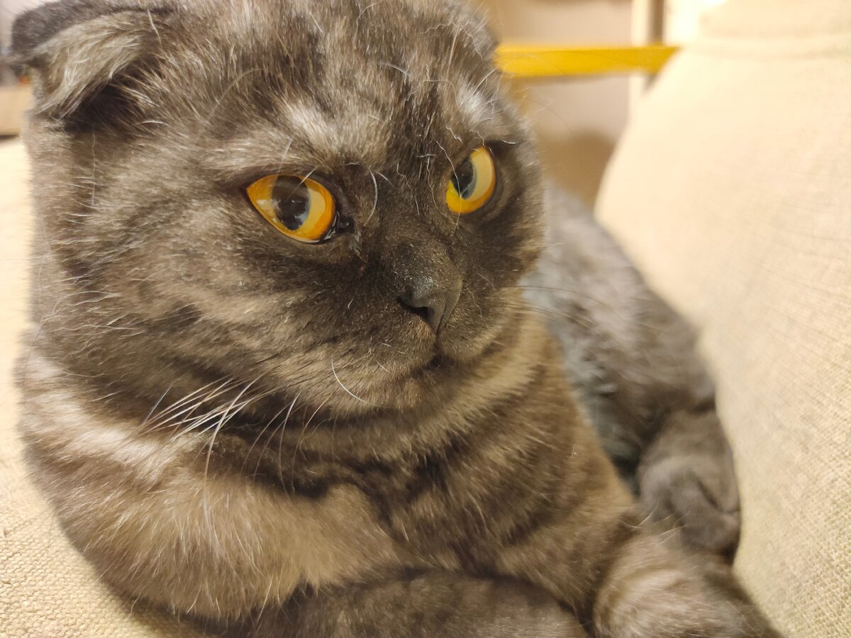 Фрося не такая)