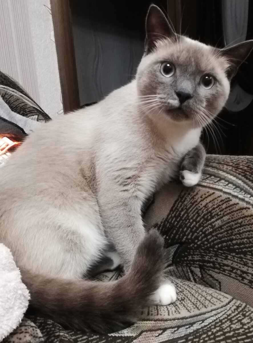 Мы позируем для камеры.