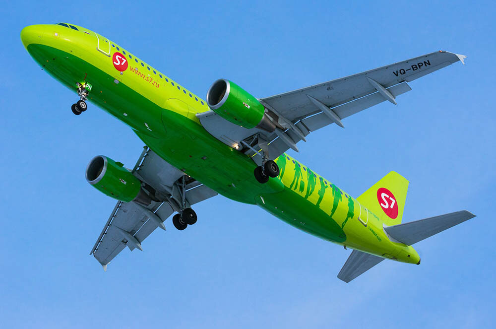 фото из открытых источников