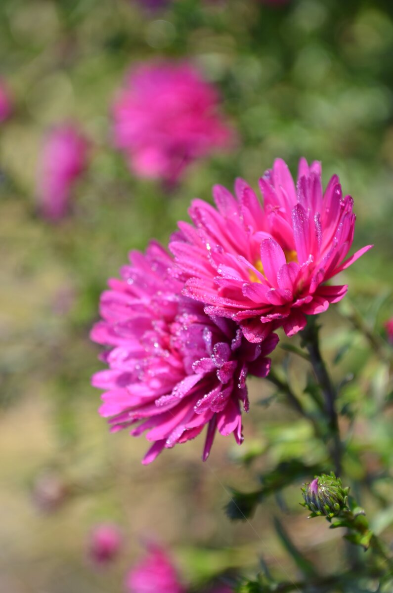 Прекрасное чувство. Фото автора