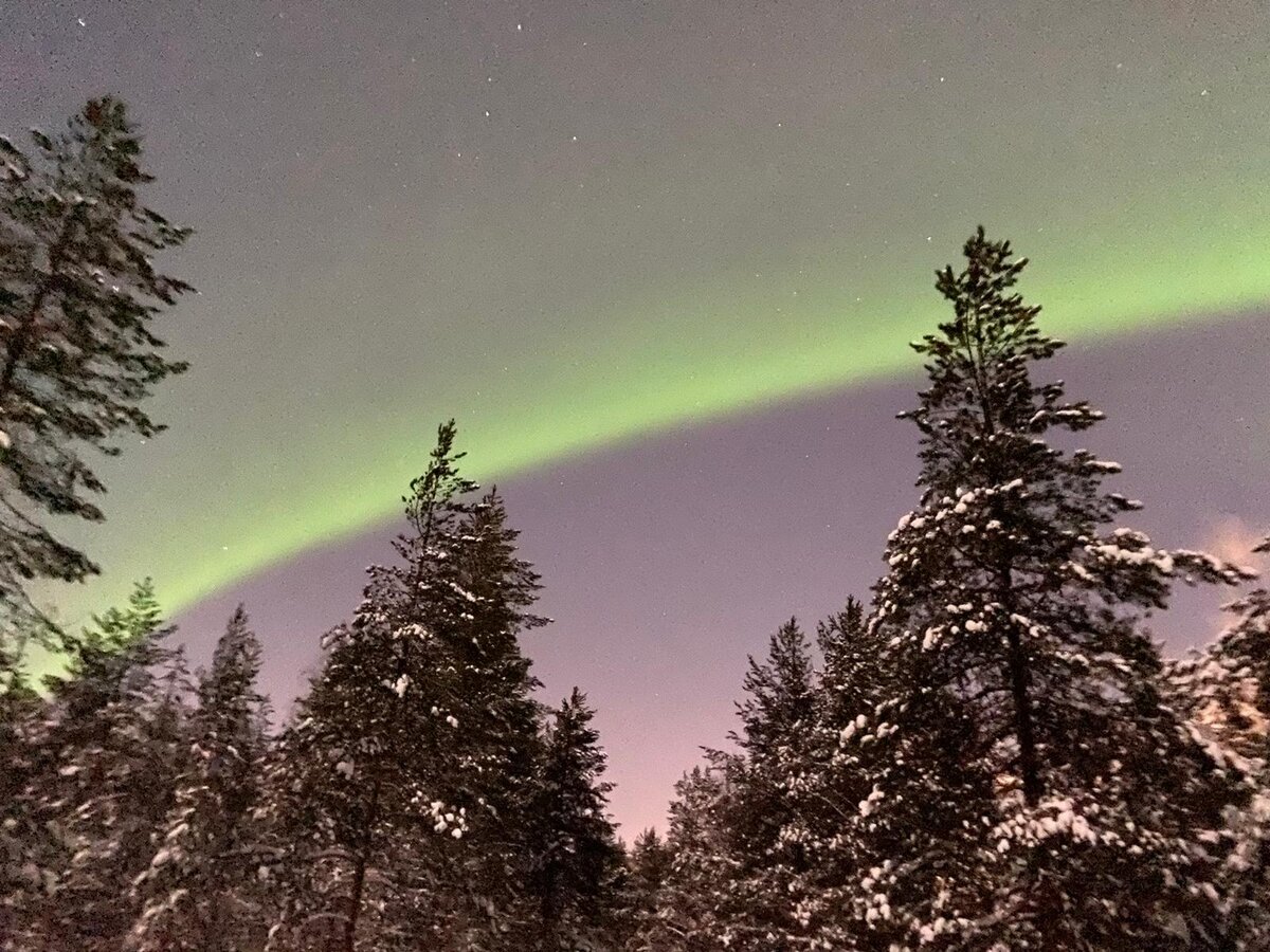 Northern Lights 