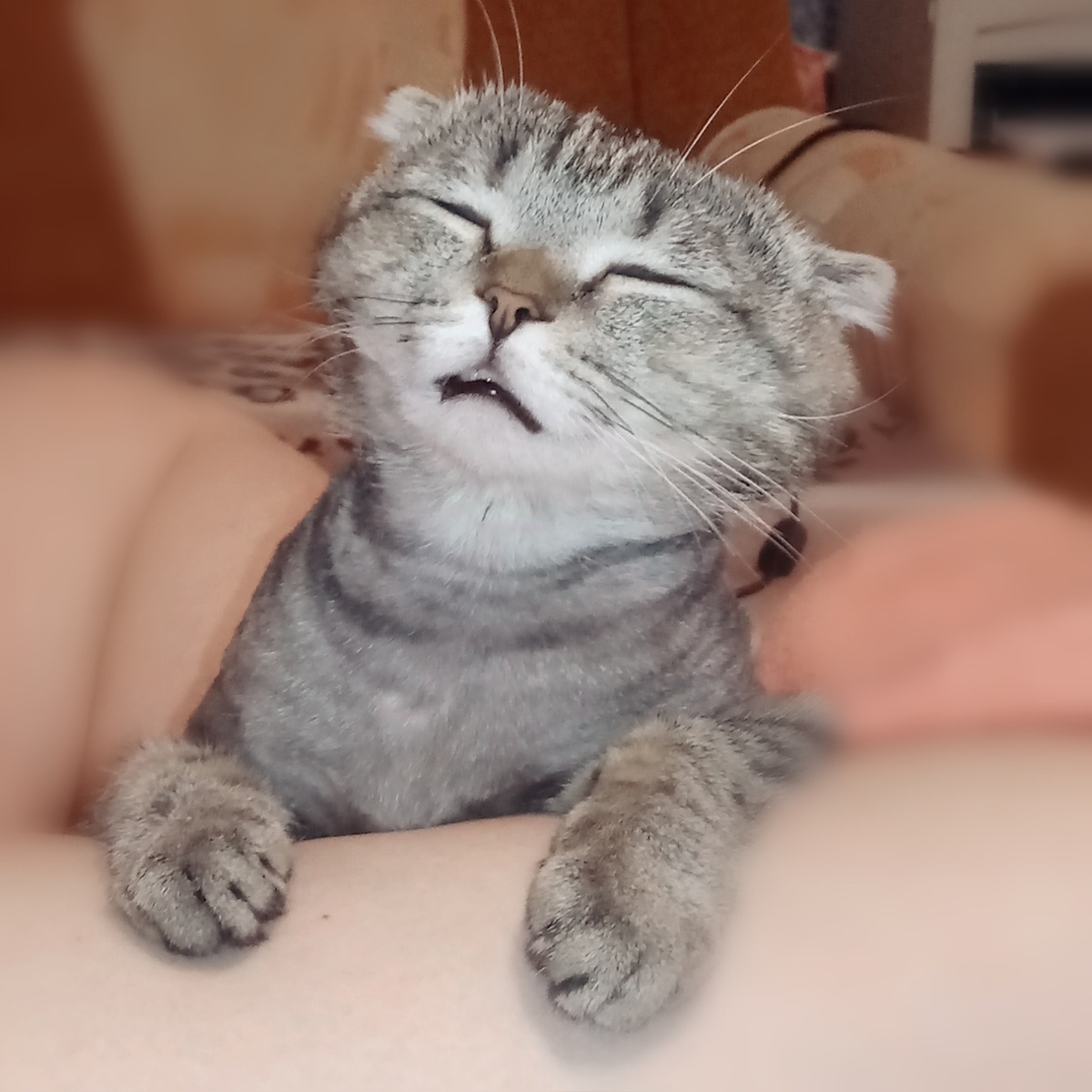 За секунду до... 