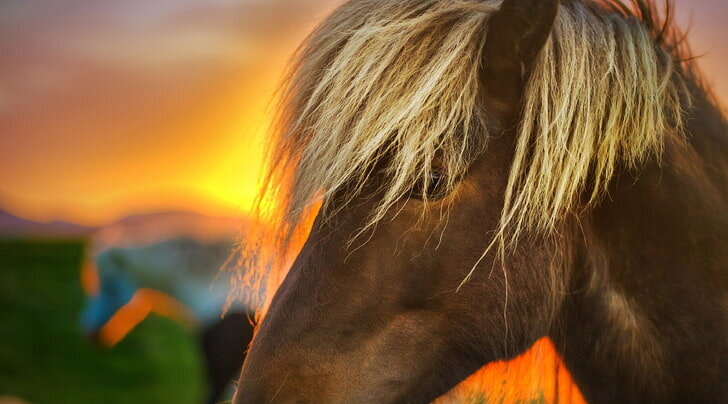 Фото для иллюстрации  с сайта https://www.wallpaperbetter.com/