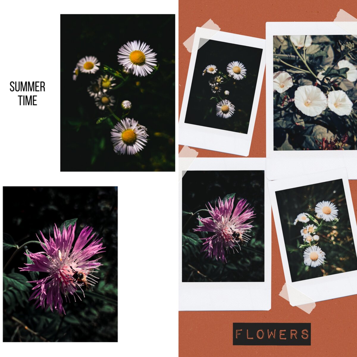 Примеры коллажей из приложений)