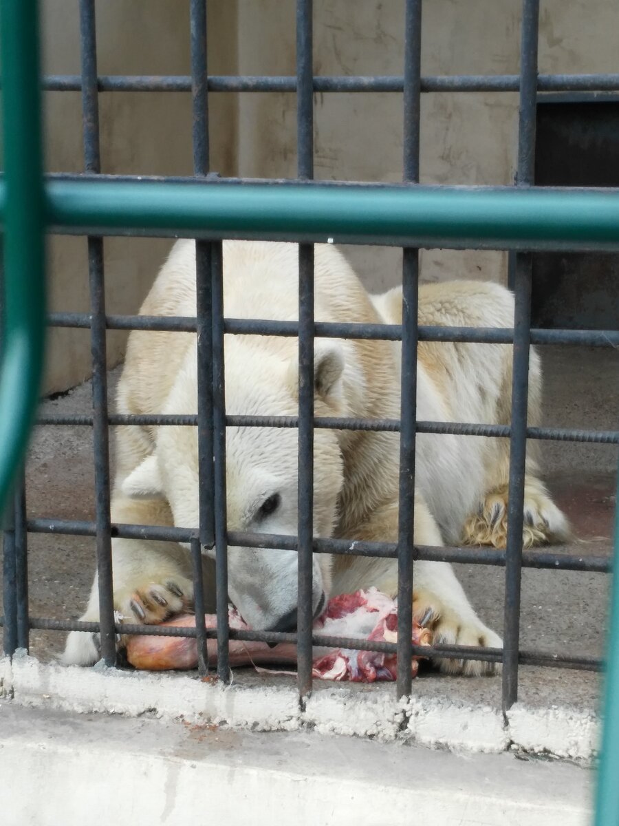 Он не любитель кето, он - профессионал. Фото из личного архива автора