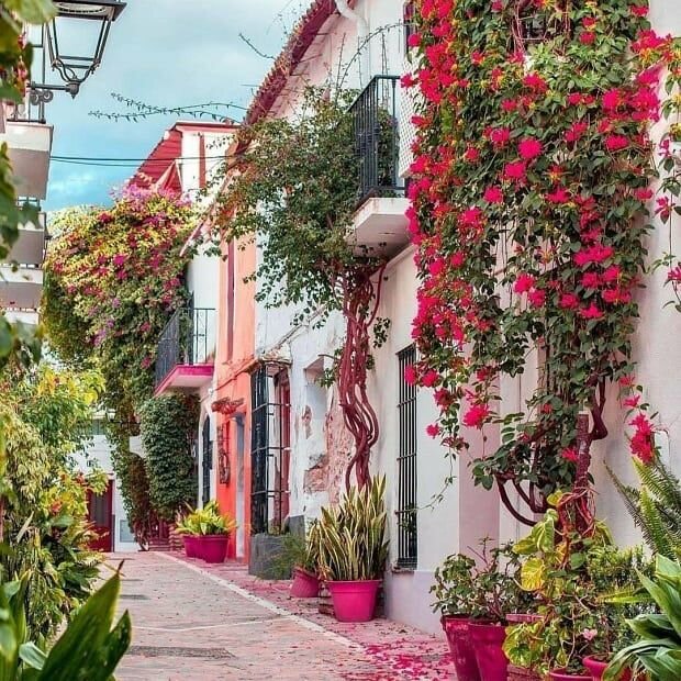 Потрясающие, узкие улочки Крита, полны  растениями, благоухающими цветами и загадочности...