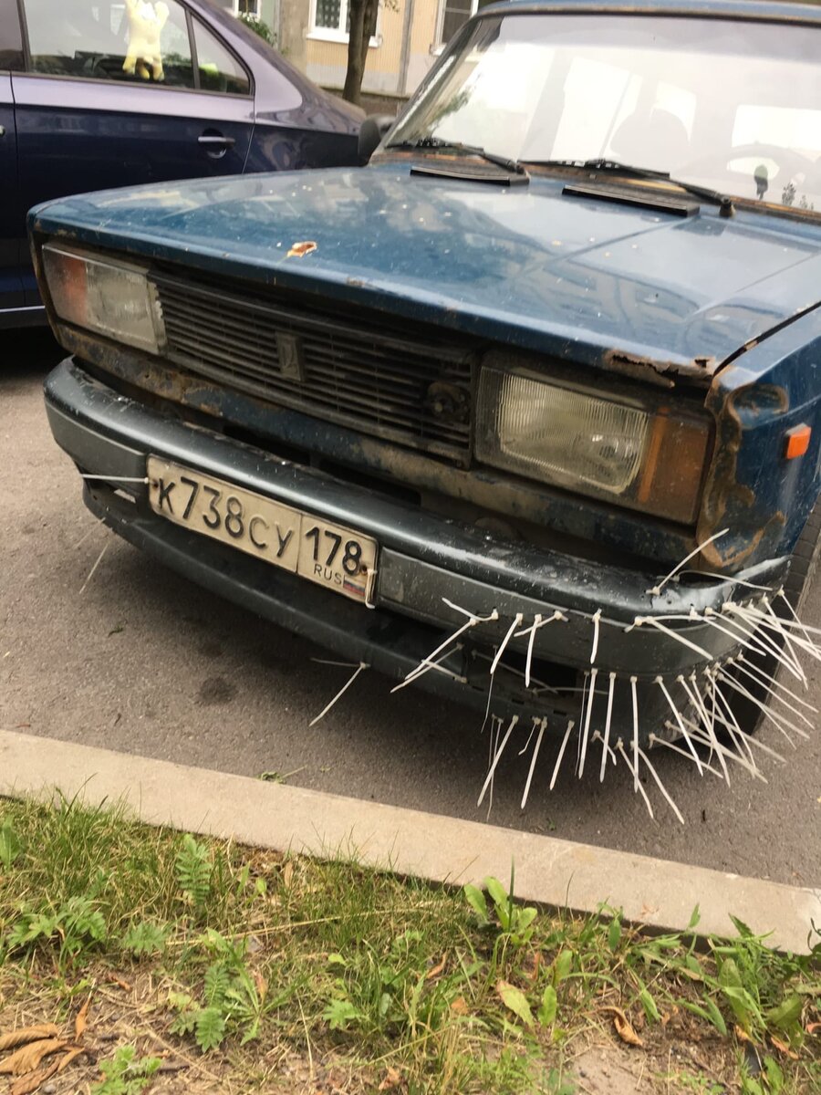 Фото: Зинаида Штольц