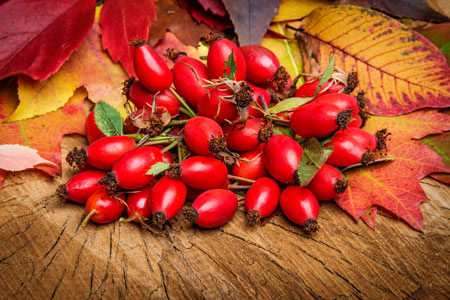 Взято из свободных источников интернет  (в качестве иллюстрации)