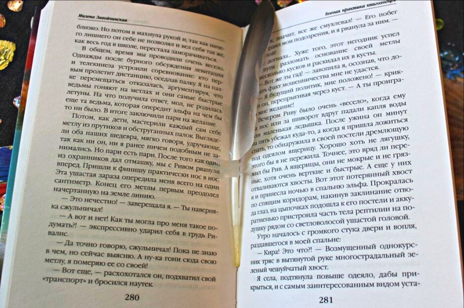 "Высшая школа библиотекарей. Боевая практика книгоходцев", Милена Завойчинская, изд-во Эксмо