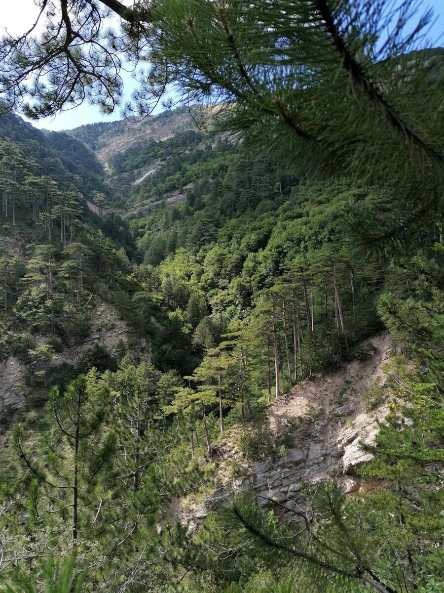 Алуштинский Крымский заповедник