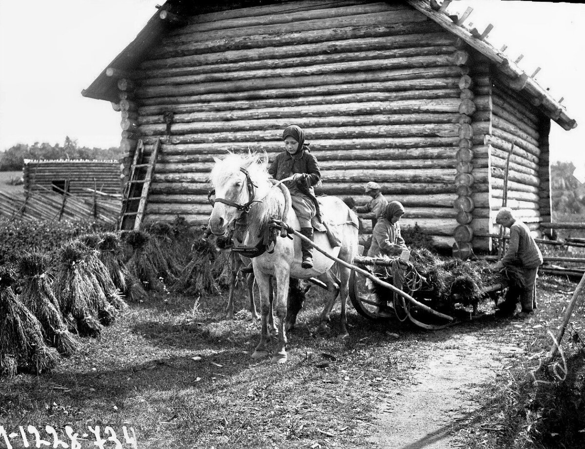 Наши бабушки пахали, в поле рожали и ничего, а современницы совсем обнаглели, расслабились?