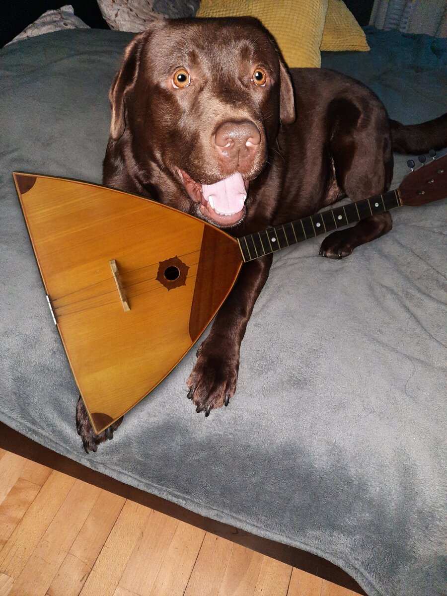 Ганя и балалайка