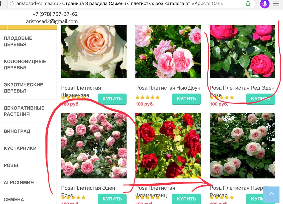 Пин на доске Roses Небольшие цветники, Названия цветов, Красивые розы