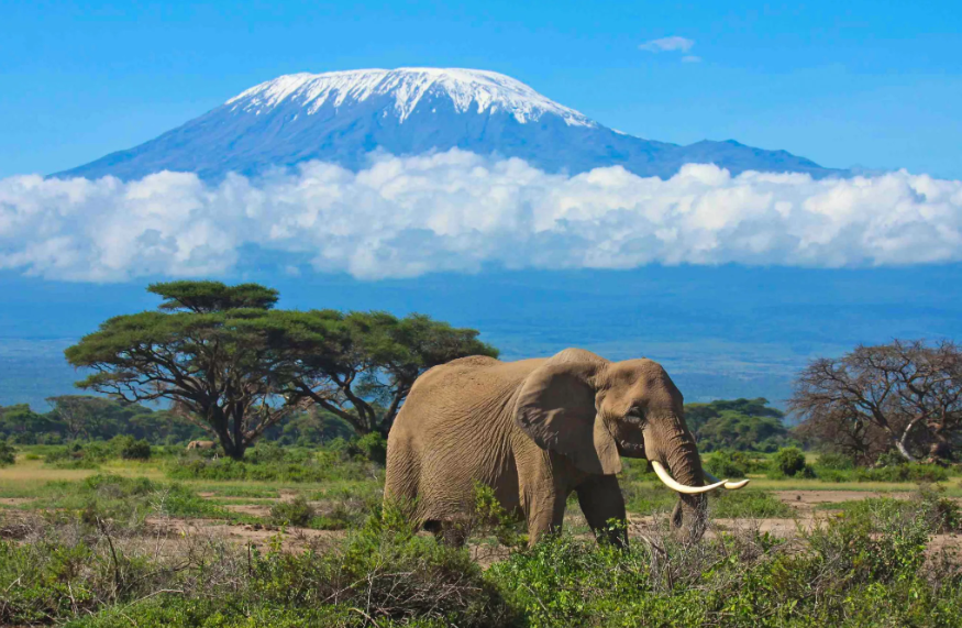 Основные достопримечательности и  стоимость туров