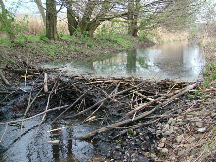 Нечто похожее было и у нас. Фото из открытого источника