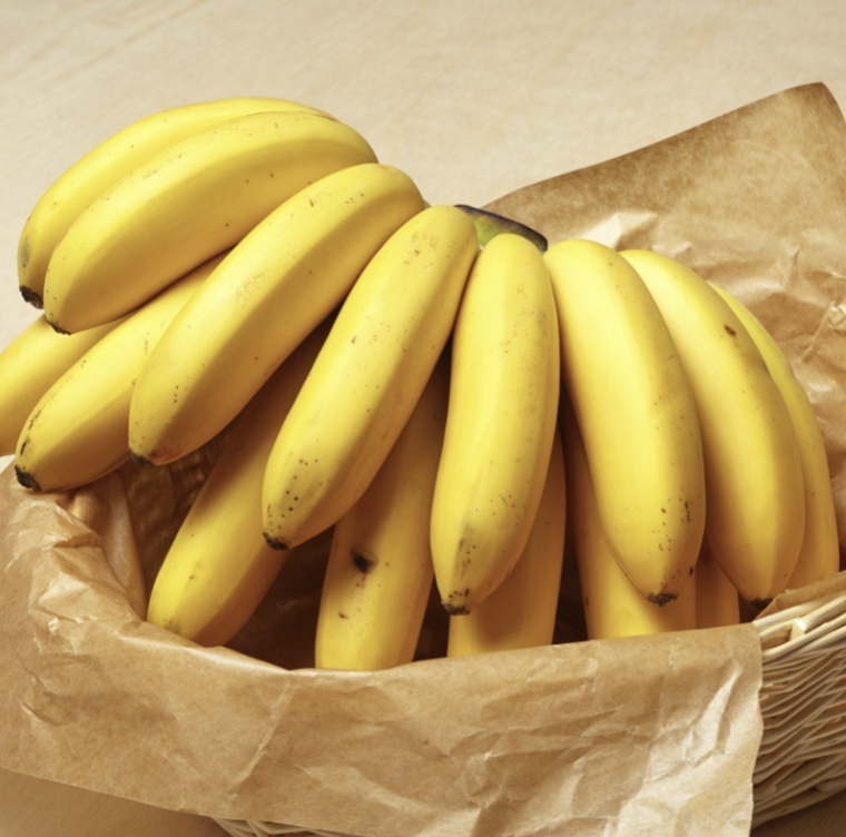 Фото взято из общего доступа 