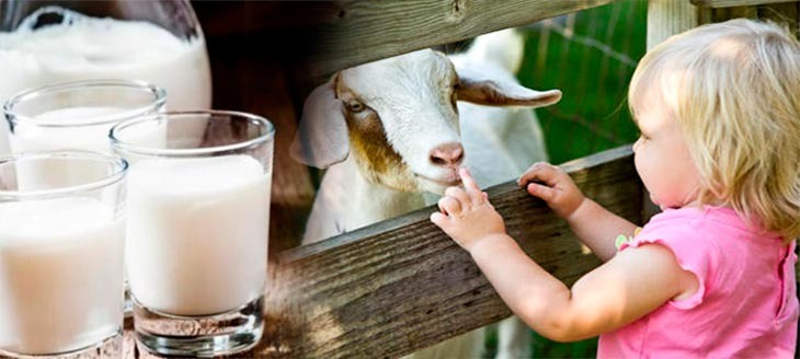 Путь к исцелению